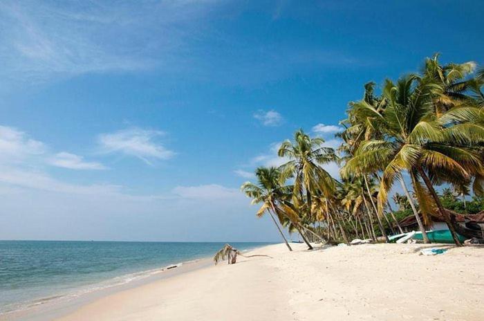 Marari Beach Clleetus Homestay 马拉利库兰 外观 照片